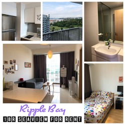 ripple-bay photo thumbnail #13